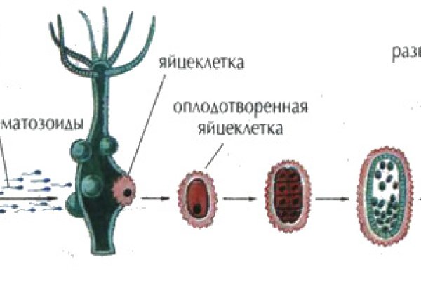 Омг тор ссылка