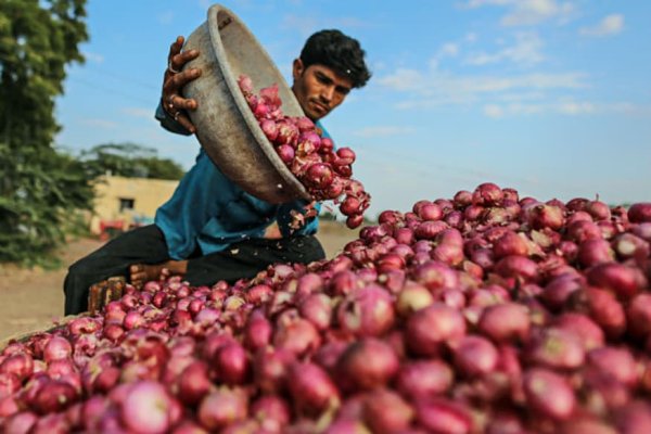 Омг onion