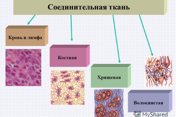 Омг ссылка гонтобак