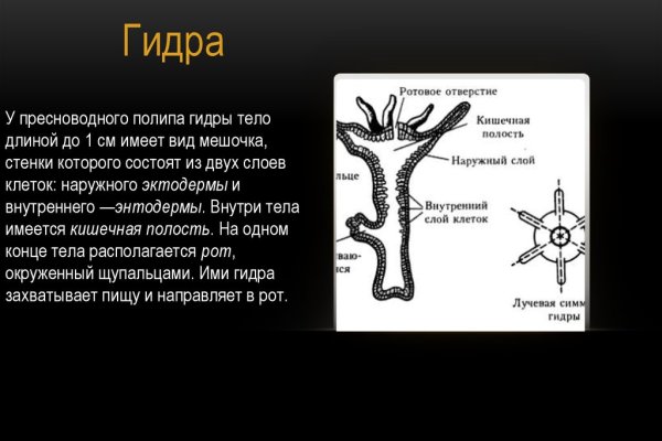 Не работает сайт через тор омг